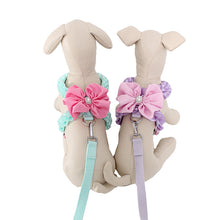 Load image into Gallery viewer, Pawfect Frill dog harness