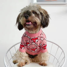 Load image into Gallery viewer, Teddy Bear Knit Dog Jumper