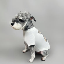 Load image into Gallery viewer, NEW Berry Teddy dog top