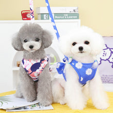 Load image into Gallery viewer, Summer dog dress and lead set