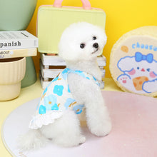 Load image into Gallery viewer, Bold Floral Sheer Lace Hem Dog Dress