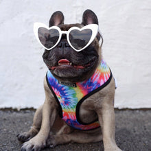 Load image into Gallery viewer, Happiness dog harness set