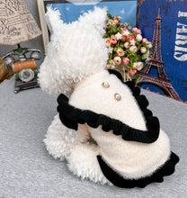 Load image into Gallery viewer, NEW Madam dog soft jumper