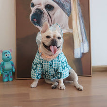 Load image into Gallery viewer, CEO dog Rain Mac