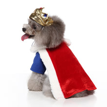 Load image into Gallery viewer, NEW King cosplay dog outfit