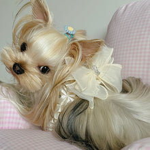 Load image into Gallery viewer, NEW Pawfect Frill dog harness