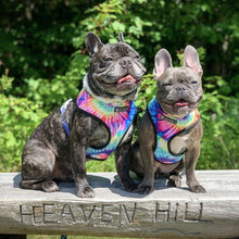 Load image into Gallery viewer, Happiness dog harness set