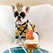Load image into Gallery viewer, NEW Royal dog jumper
