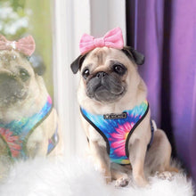 Load image into Gallery viewer, Happiness dog harness set