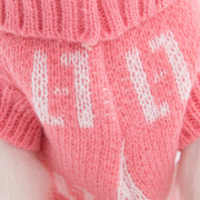 Load image into Gallery viewer, NEW Knit dog jumper