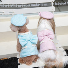 Load image into Gallery viewer, NEW Madam dog jumper and Bonnet set