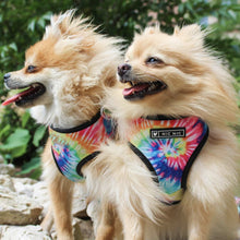 Load image into Gallery viewer, Happiness dog harness set