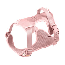 Load image into Gallery viewer, NEW Dog Walkies harness
