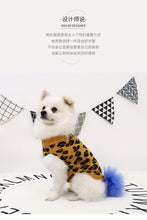 Load image into Gallery viewer, NEW Leopard dog jumper
