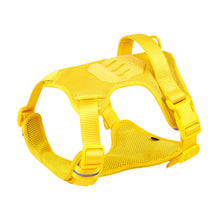 Load image into Gallery viewer, NEW Dog Walkies harness