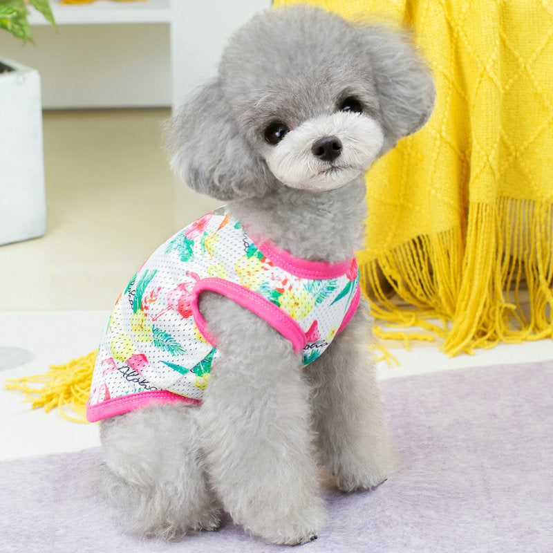 Flamingo dog outlet clothes