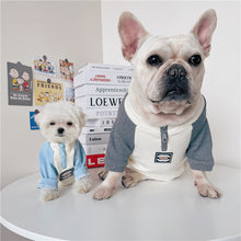Load image into Gallery viewer, Colour Block Zip Collar Dog Sweatshirt