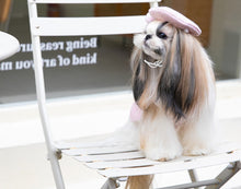 Load image into Gallery viewer, NEW Madam dog jumper and Bonnet set