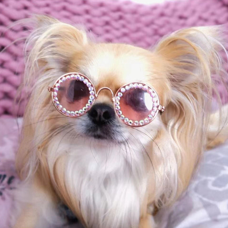 Pet sunglasses on sale