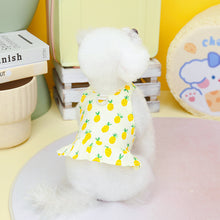 Load image into Gallery viewer, NEW D Ring dog Summer dress