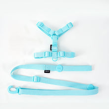 Load image into Gallery viewer, NEW Cute dog harness set