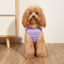 Load image into Gallery viewer, Dog Walkies harness