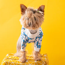 Load image into Gallery viewer, NEW Dogior dog jumper