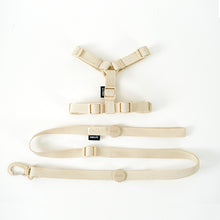 Load image into Gallery viewer, NEW Cute dog harness set