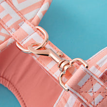 Load image into Gallery viewer, NEW FF Designer soft harness