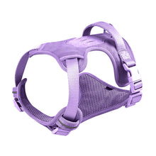 Load image into Gallery viewer, NEW Dog Walkies harness