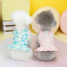 Load image into Gallery viewer, Paris Print Halter Harness Peplum Dog Dress