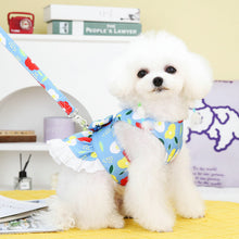 Load image into Gallery viewer, Summer dog dress and lead set