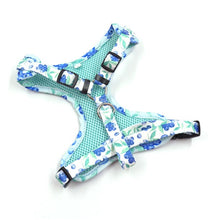 Load image into Gallery viewer, NEW Blueberry dog harness set