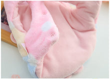 Load image into Gallery viewer, NEW Cuddle Teddy dog jumper