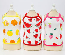 Load image into Gallery viewer, Summer Fruit dog t-shirt