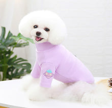 Load image into Gallery viewer, My everyday pet jumpers