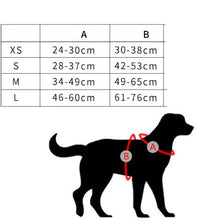 Load image into Gallery viewer, NEW Dog Walkies harness