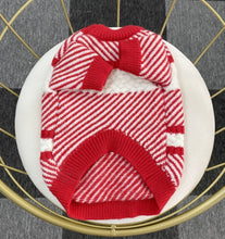 Load image into Gallery viewer, NEW CC Dog jumper