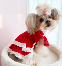 Load image into Gallery viewer, Tiered Ruffle Lace Dog Dress