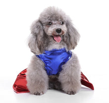 Load image into Gallery viewer, NEW Super Paw dog dress