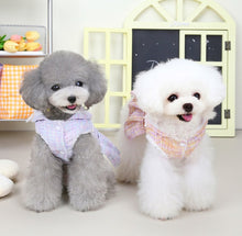 Load image into Gallery viewer, NEW Raulen dog winter dress