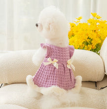 Load image into Gallery viewer, NEW Winter Queen dog dress
