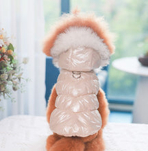 Load image into Gallery viewer, NEW Skyline dog jacket