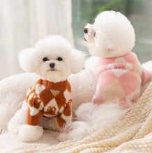 Load image into Gallery viewer, Mr Bunny pet jumper