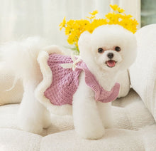 Load image into Gallery viewer, NEW Winter Queen dog dress