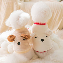 Load image into Gallery viewer, NEW Sleepy coala dog jumpers