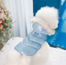 Load image into Gallery viewer, NEW Skyline dog jacket