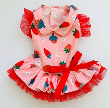 Load image into Gallery viewer, Novelty Print Tulle Flutter Dog Dress