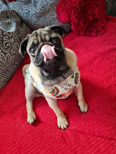 Load image into Gallery viewer, Fashion Star Dog Top