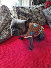 Load image into Gallery viewer, Fashion Star Dog Top